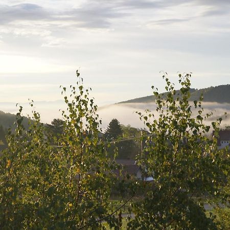Gites Du Taennchel Thannenkirch Zewnętrze zdjęcie