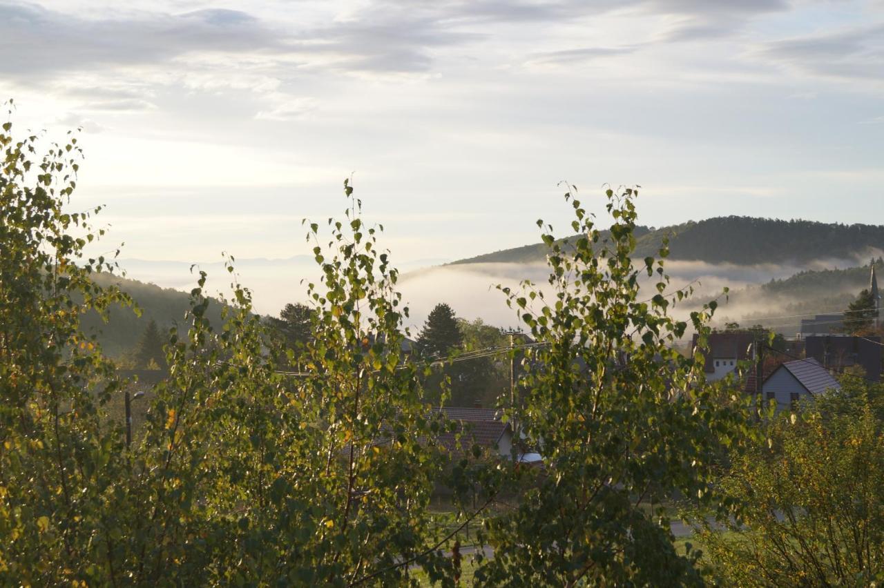Gites Du Taennchel Thannenkirch Zewnętrze zdjęcie